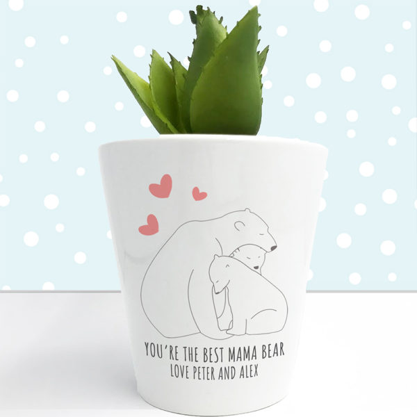 Personalised The Best Mama Bear Mini Plant Pot