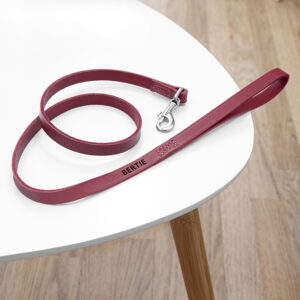 Personalised Classic Red Leather Dog Lead Personalised Classic Red Leather Dog Lead